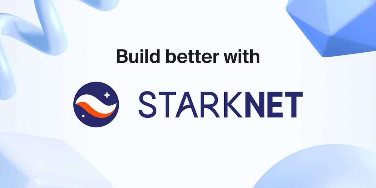 Navigating the World of StarkNet Full Nodes: The Backbone of Decentralized Scalability