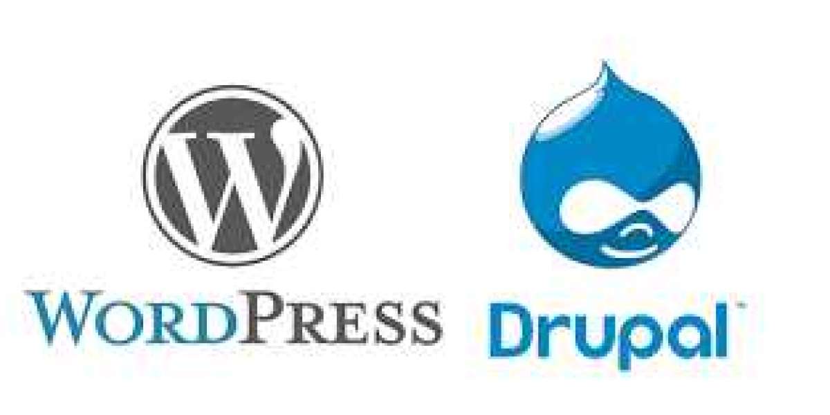 "WordPress and Drupal Showdown: Insights from the Reddit Web Dev Community"